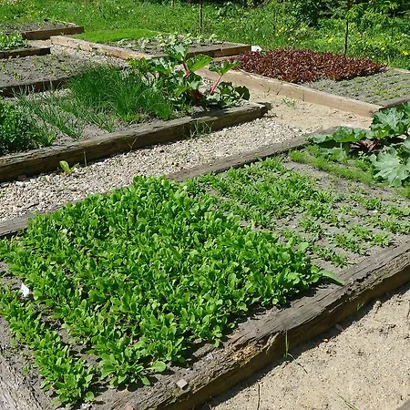 Szálloda Dom Mlynarza *