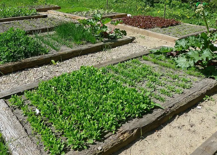 Hotel Dom Mlynarza *